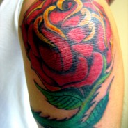 elbow rose