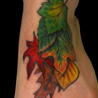 leaf seasons foot