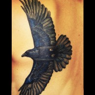 “Raven Cover Up”