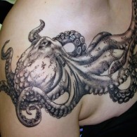 Caitlyn’s Octopus